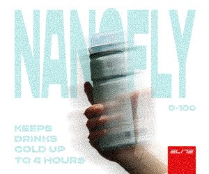 NANOFLY - ICE